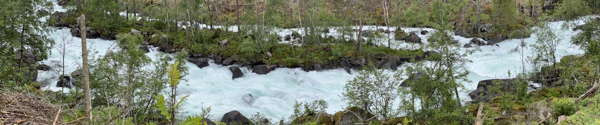 Klik om de knoppen te tonen of te verbergen