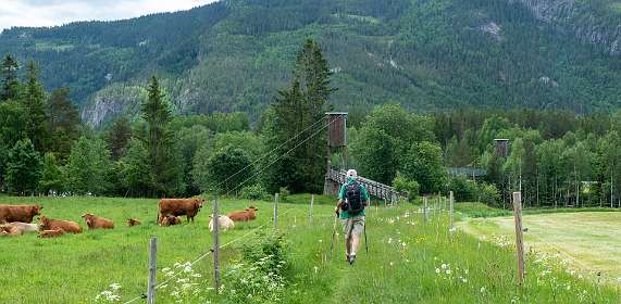 Terug over de hangbrug