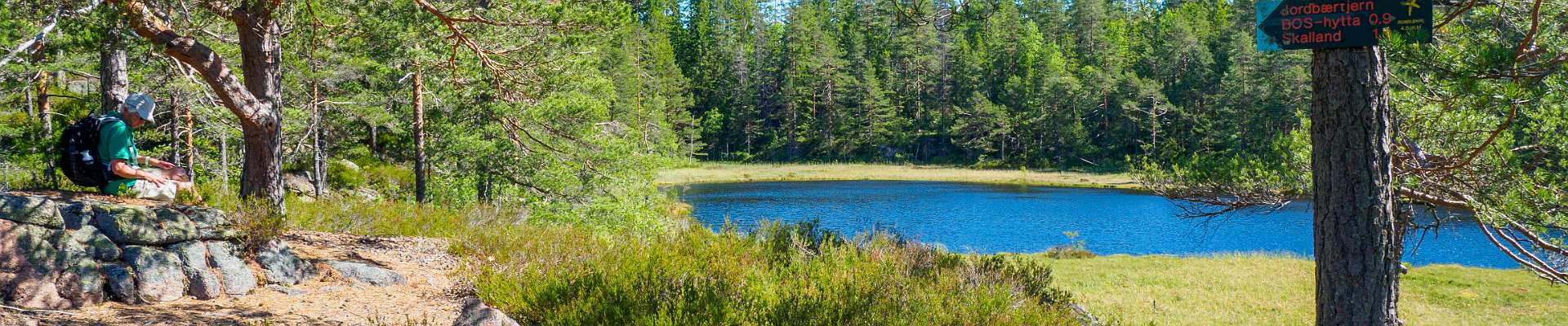Klik om de knoppen te tonen of te verbergen