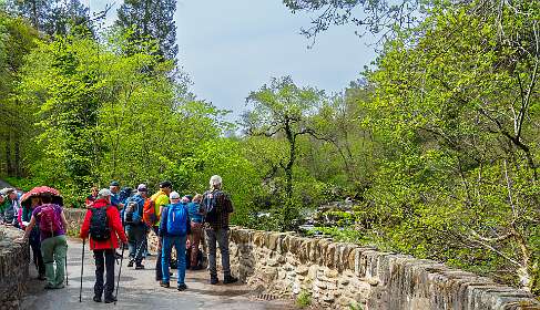 Brug over de Braam rivier
