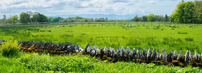 230522-114815_Schotland-Pano