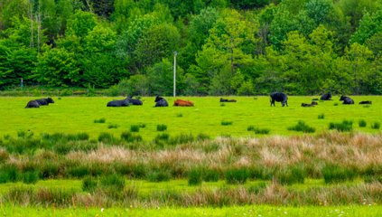 230522-121546_Schotland