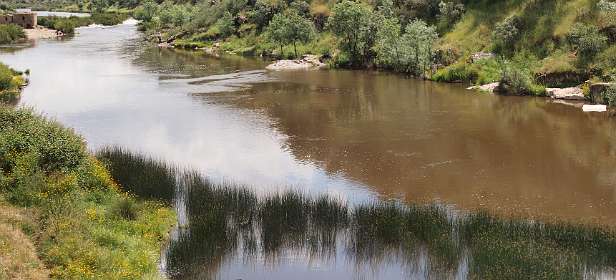 De Almonte rivier bij Monroy