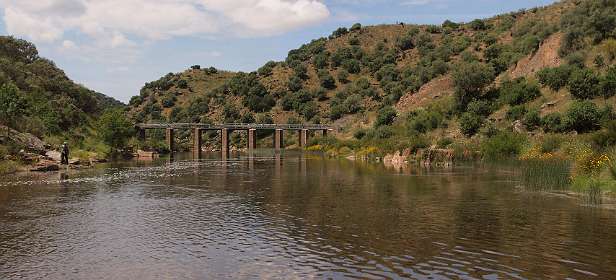 De brug over de Almonte rivier bij Monroy