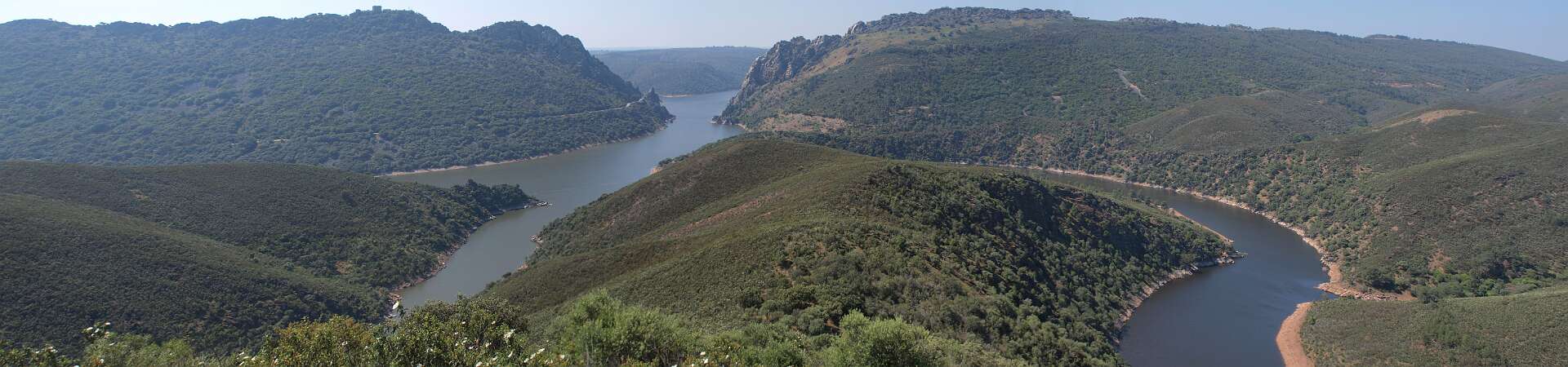 Klik om de knoppen te tonen of te verbergen