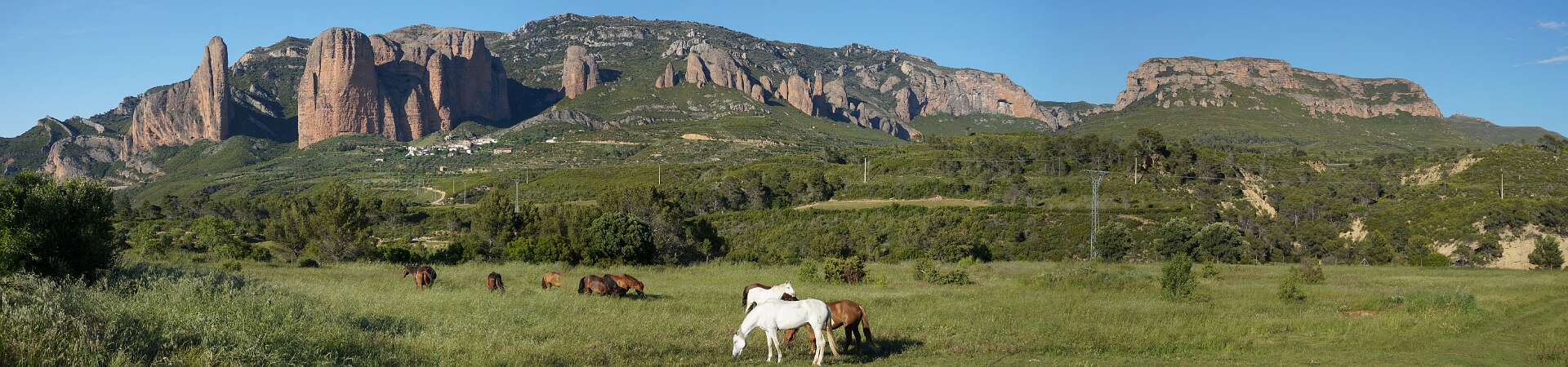 Klik om de knoppen te tonen of te verbergen