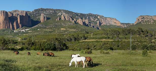 Opname vanaf de camping