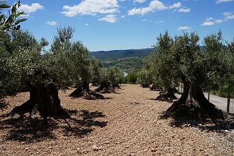De weg naar de hermitage Marcuello