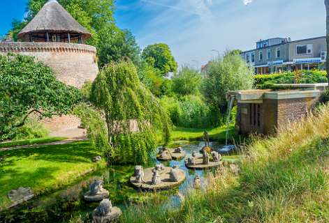 'Kikkers in concert' en de Verkentoren.