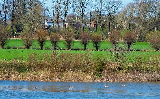 Aan de overkant van de IJssel