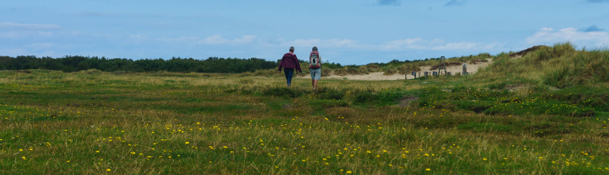 Klik om de knoppen hierboven te tonen of te verbergen