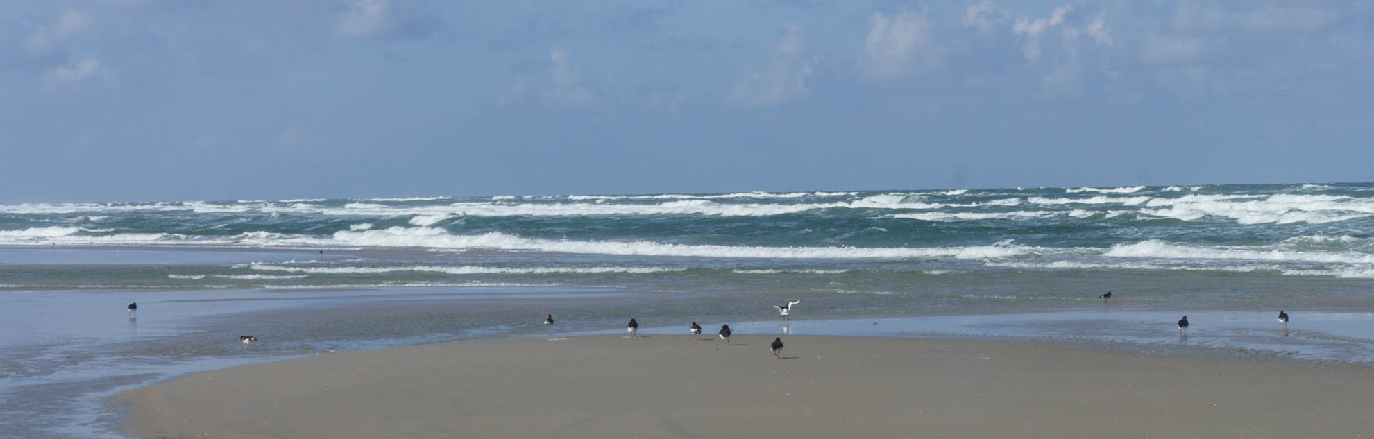 Klik om de knoppen hierboven te tonen of te verbergen