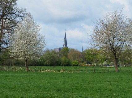 De toren van de Gregorius kerk in Almelo