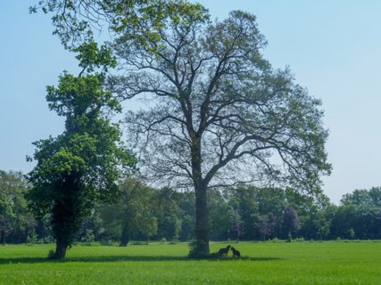 5: 180527-121128_Rond_Almelo