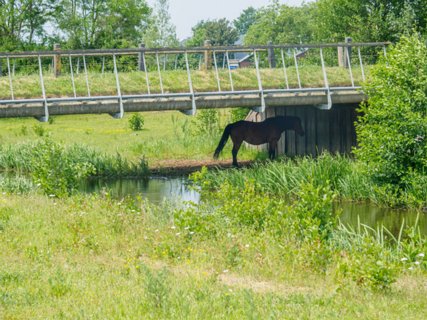 15: 180527-133740_Rond_Almelo<br>Het was bijna 30 graden!