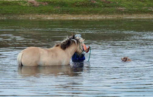 25: 180527-140405_Rond_Almelo