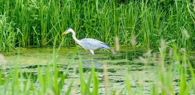 26: 180527-141505_Rond_Almelo