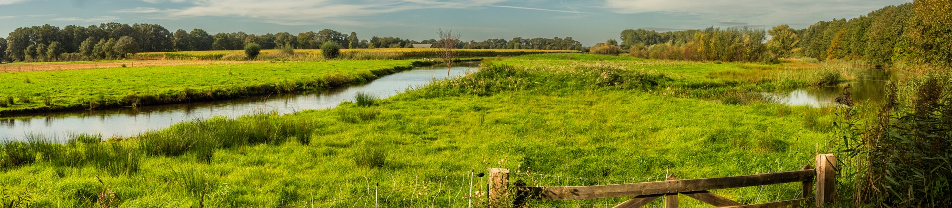 Klik om de knoppen te tonen of te verbergen
