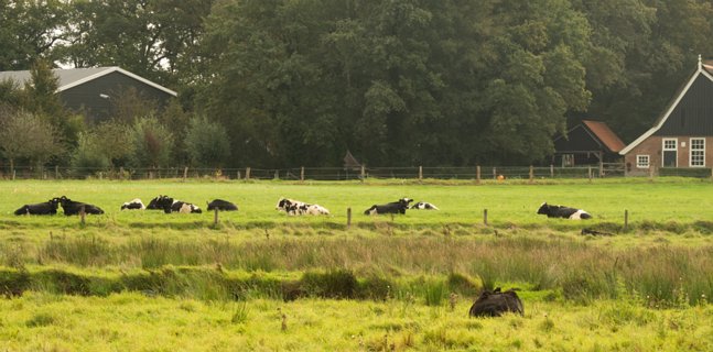 4: 231001-104233_Ypelo