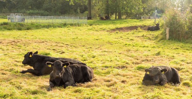 7: 231001-105352_Ypelo