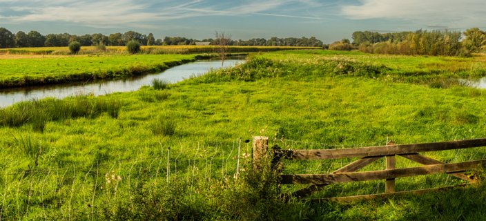 10: 231001-111011_Ypelo-Pano