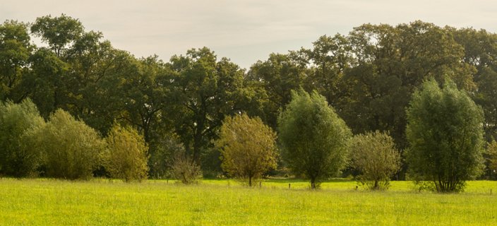 16: 231001-115454_Ypelo-Pano