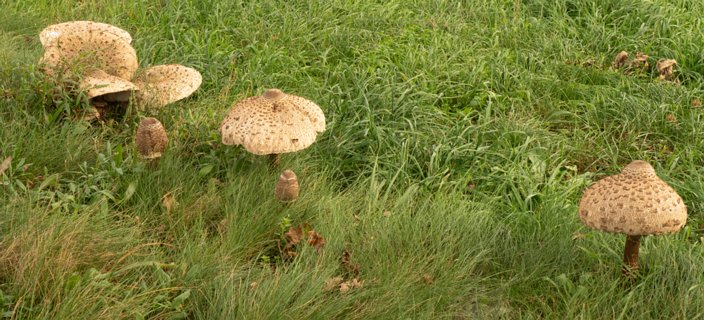 17: 231001-120428_Ypelo