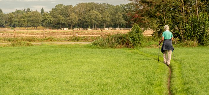 20: 231001-121456_Ypelo-Pano