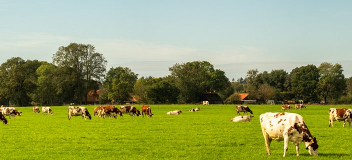 21: 231001-122505_Ypelo-Pano