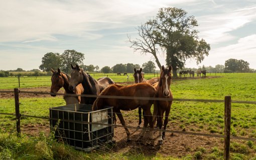 22: 231001-123858_Ypelo