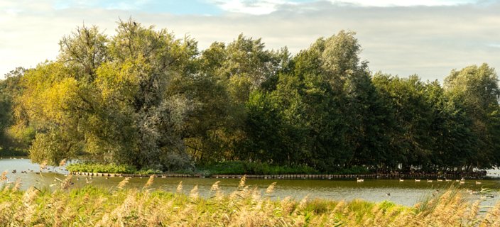 28: 231001-131942_Ypelo-Pano<br>Waterbuffer Dackhorst