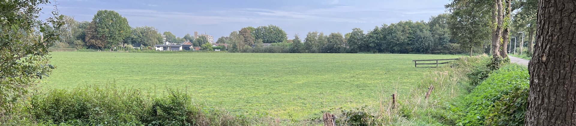 Klik om de knoppen te tonen of te verbergen