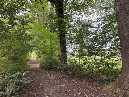 25: IMG_1045<br>Dit gaat ook naar de alternatieve route