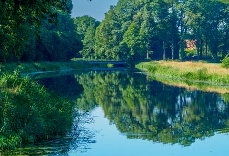 3: 230625-093837_Gravenallee<br>Loolee