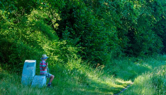 5: 230625-094201_Gravenallee