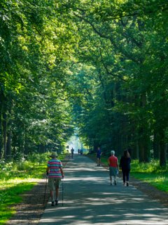 6: 230625-094608_Gravenallee<br>Gravenallee