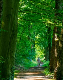 7: 230625-095000_Gravenallee<br>Langs de voormalige ijsbaan