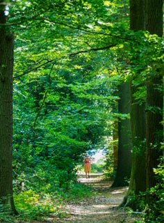 9: 230625-095614_Gravenallee