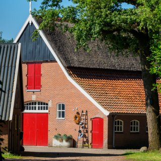 10: 230625-095905_Gravenallee