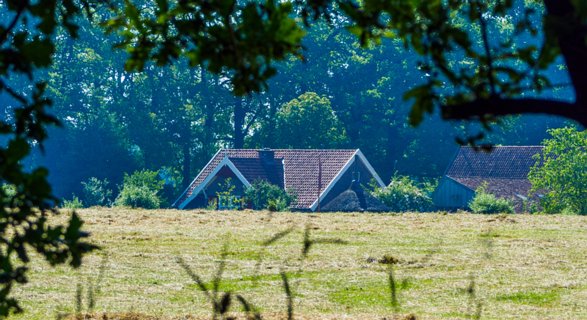 12: 230625-100252_Gravenallee