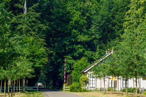 13: 230625-100522_Gravenallee