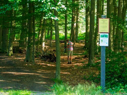 14: 230625-100543_Gravenallee