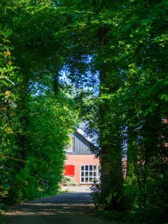 19: 230625-101816_Gravenallee