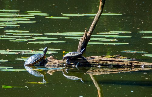 24: 230625-102511_Gravenallee