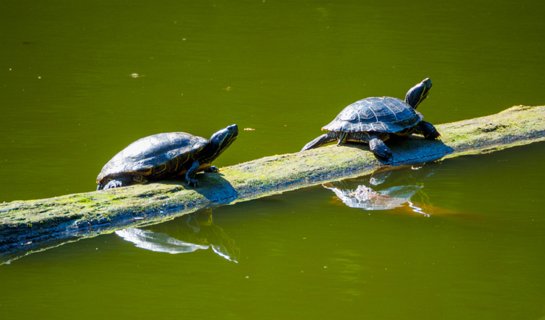 26: 230625-102904_Gravenallee