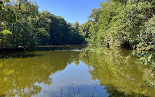 20: IMG_0816<br>De vijver boven de Gravenalle