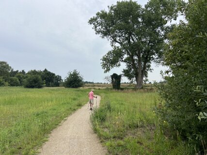 18: 4BC597A9-982E-46F1-8B8F-A09551750CBC-70224-00002A320C547FB9<br>In 2025 was er een nieuw pad aangelegd bij de Aadijk, in het voormalige Waterrijk gebied.