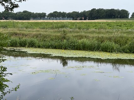 26: F5DACCC3-5679-4EE0-A435-1973F81C1F0B-70224-00002A35597CDE33<br>Het Lateraal kanaal