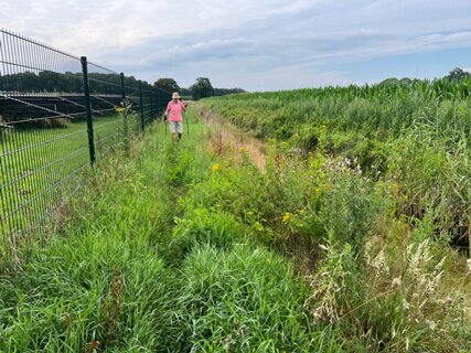 22: IMG_6757<br>Het pad langs het zonnepark de Aaboer wordt niet goed onderhouden.