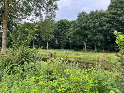 27: IMG_6761<br>Daar lopt het pad naar Aadorp en Vriezeveen